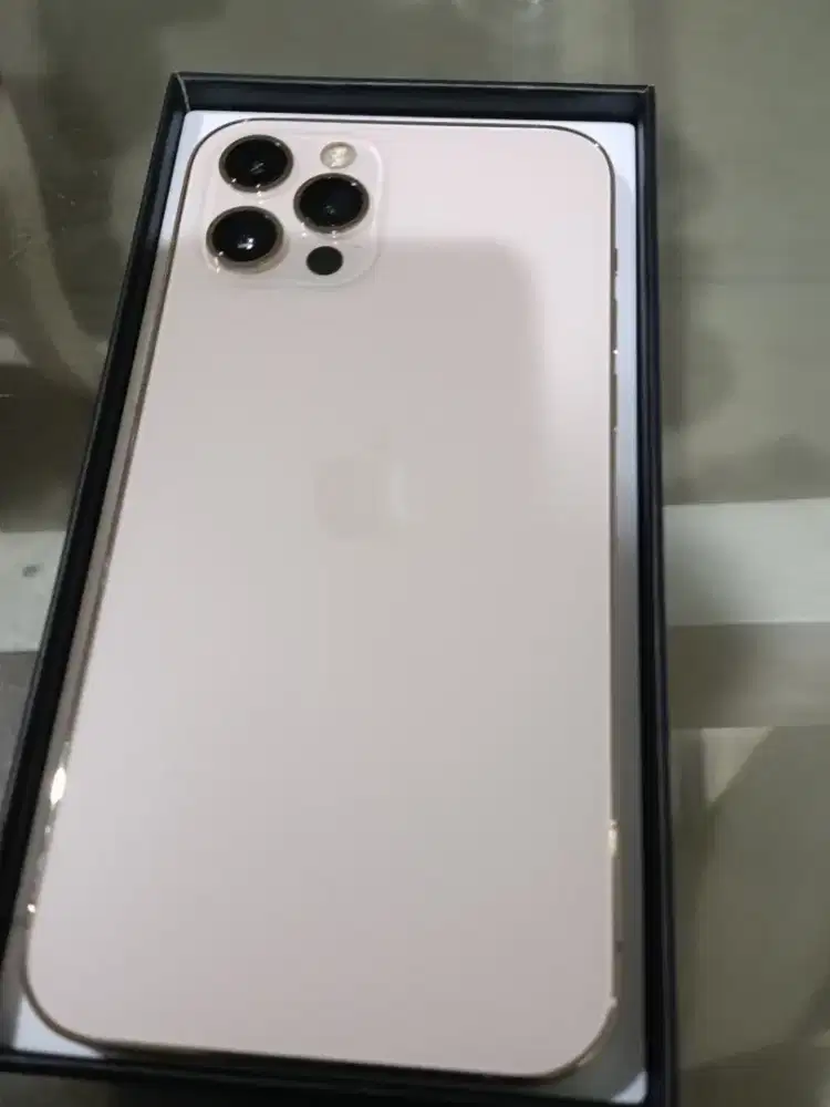 iPhone 12 pro 256 inter