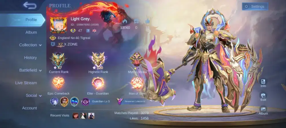 WTS Akun ML pribadi (Collector Tigreal, Roam)