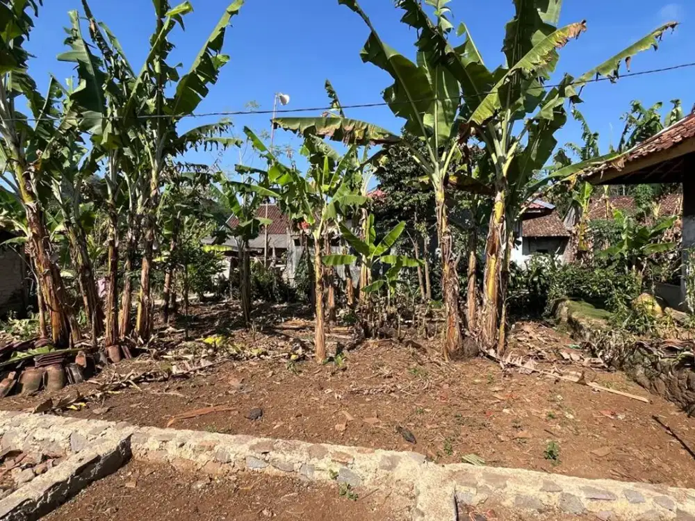 Dijual Murah Tanah Sebelah Surau Cocok Untuk Rumah / Wakaf