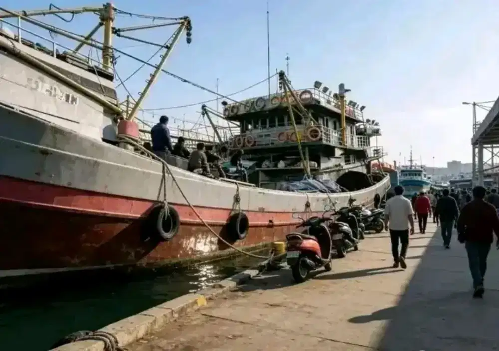 Lowongan kerja kapal ikan dan cumi