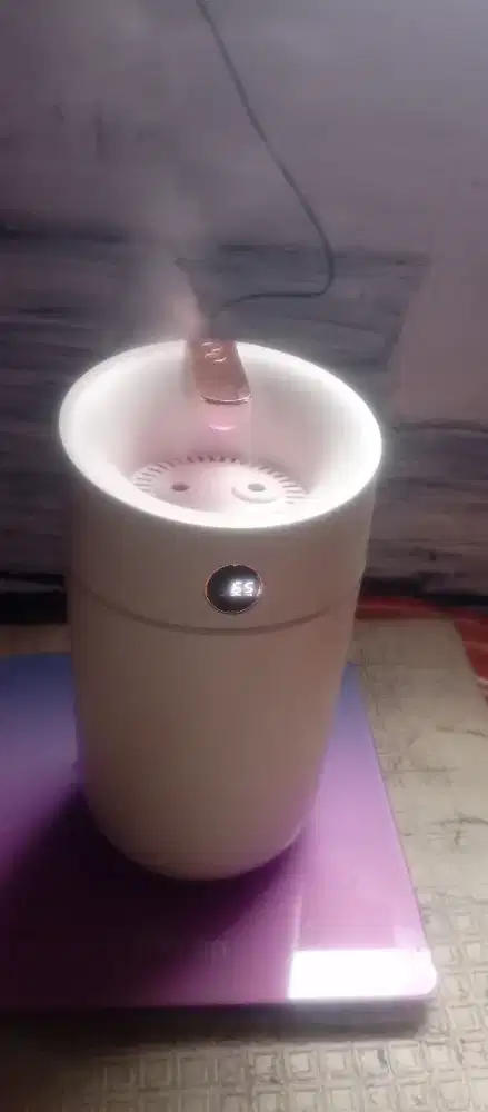 Humidifier pelembab ruangan