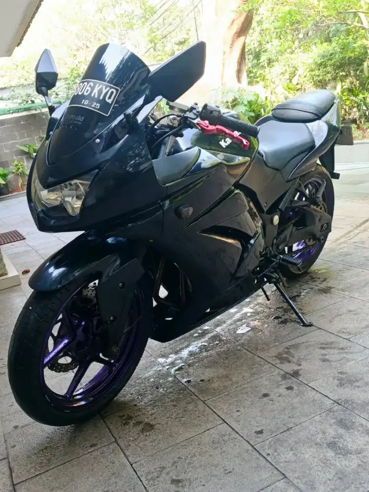 Ninja 250 karbu2010