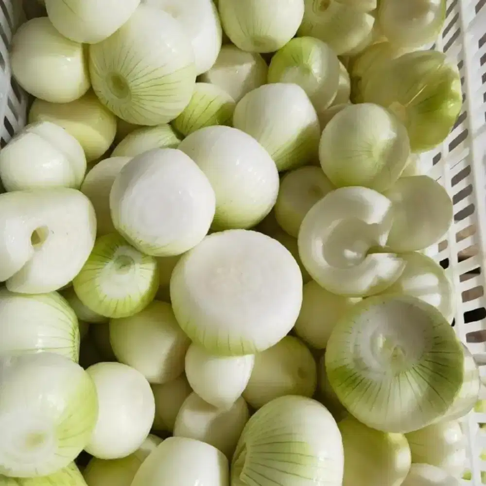 Kupas dan sortir bawang