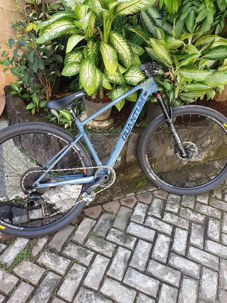 Sepeda Quantum Torrent Pro