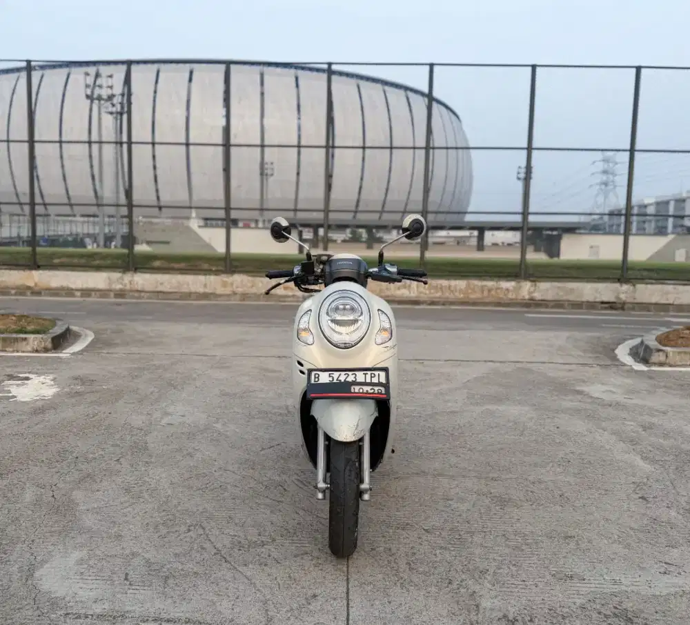Scoopy Stylish 2023