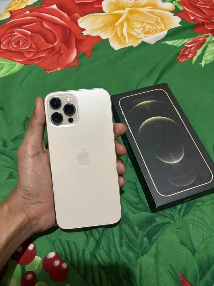Iphone 12 pro max 256