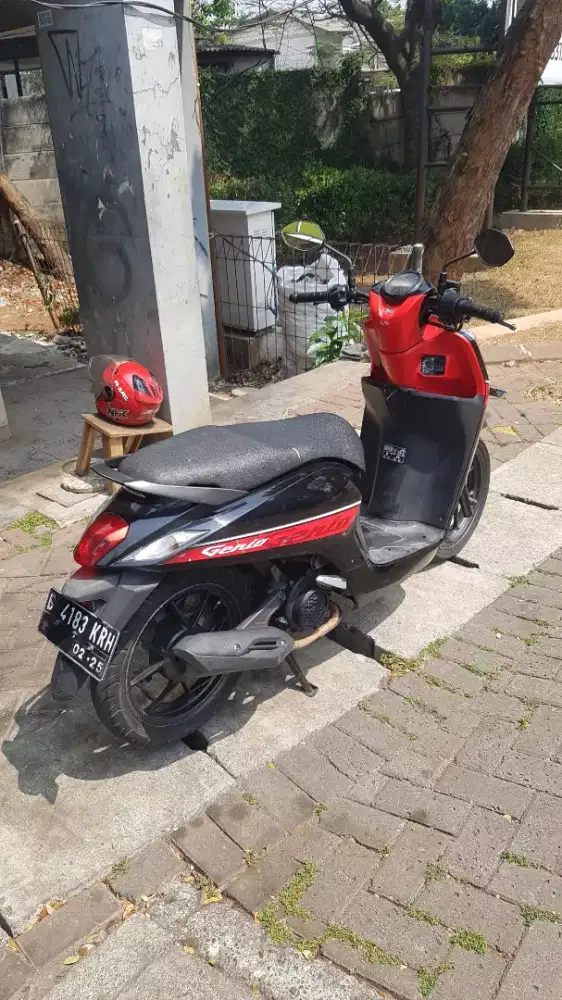 honda genio 2019 fi gress iritt