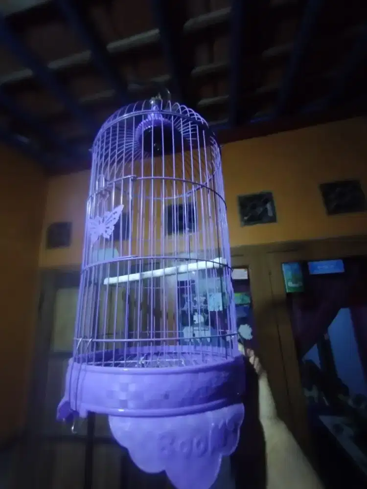Sangkar burung kecil