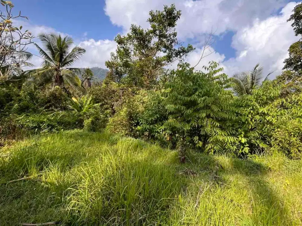 Tanah di pinggir jalan utama dengan pemandangan indah