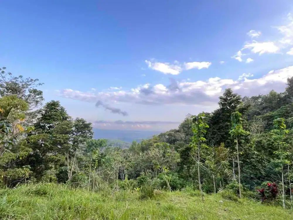 Tanah dengan view Laut dan Pegunungan