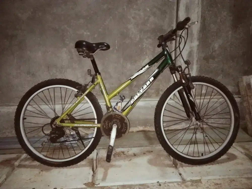 Sepeda gunung Polygon.