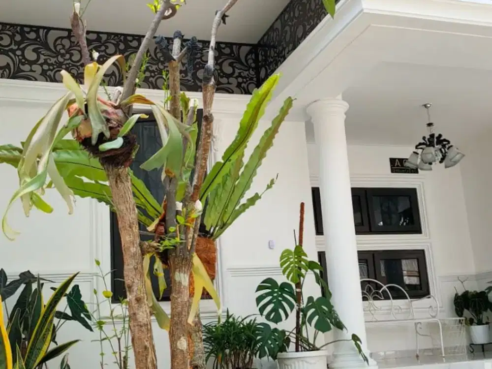 Rumah 3 Lantai Elegan Fully Furnished di Discovery Bintaro Sektor 9 Tangerang Selatan LT 135 m² 5 KT Siap Huni!