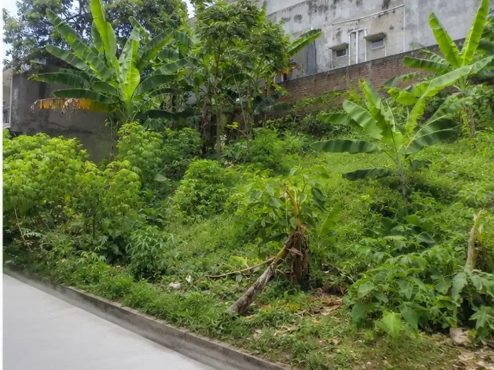 Investasi Menjanjikan! Tanah Jatinangor di Kawasan Kos Eksklusif