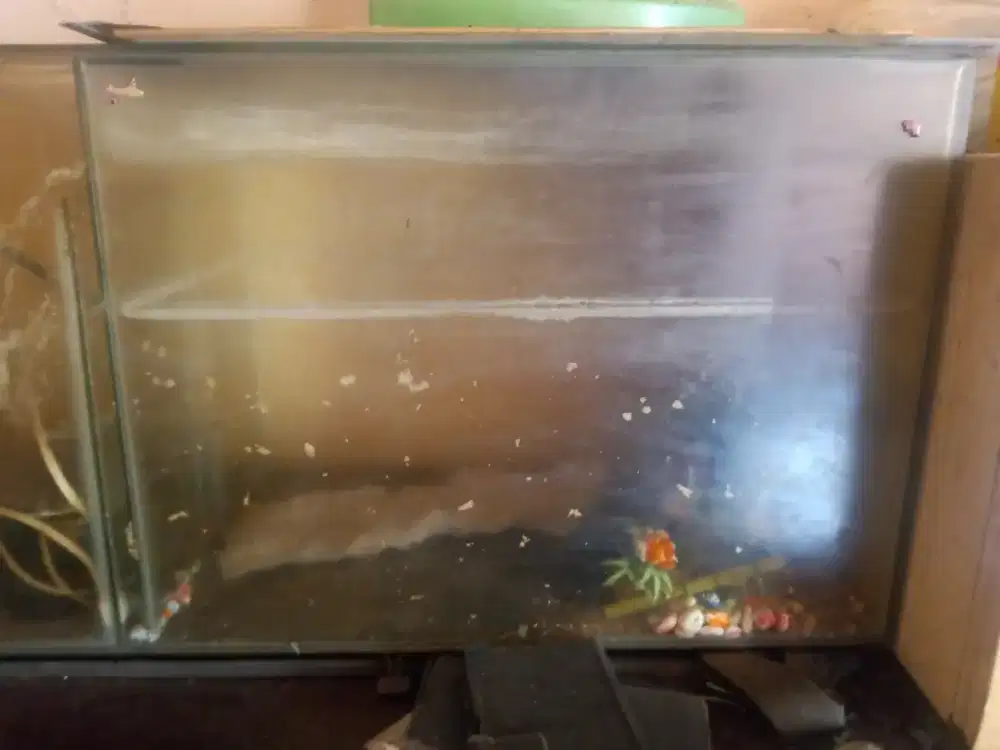 Dijual Aquarium