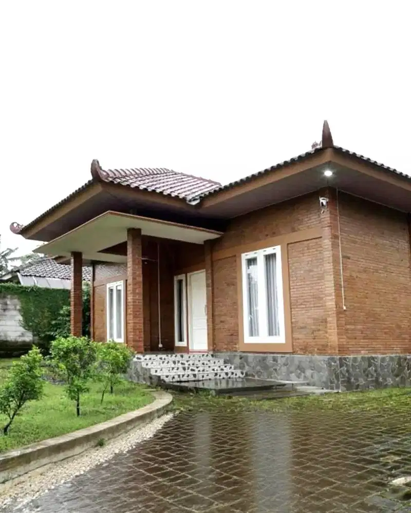 Villa Adem dan Homey View Persawahan di Turi