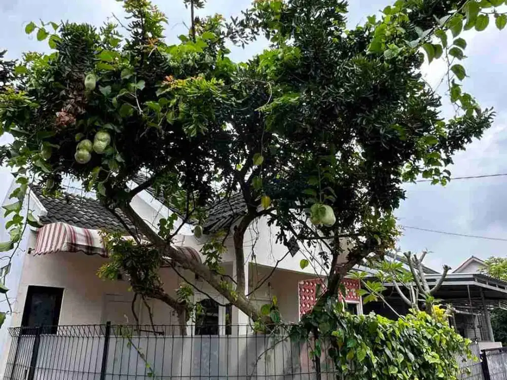 Rumah HOOK Dekat UNDIP dan Pusat KULINER Mulawarman RAYA
