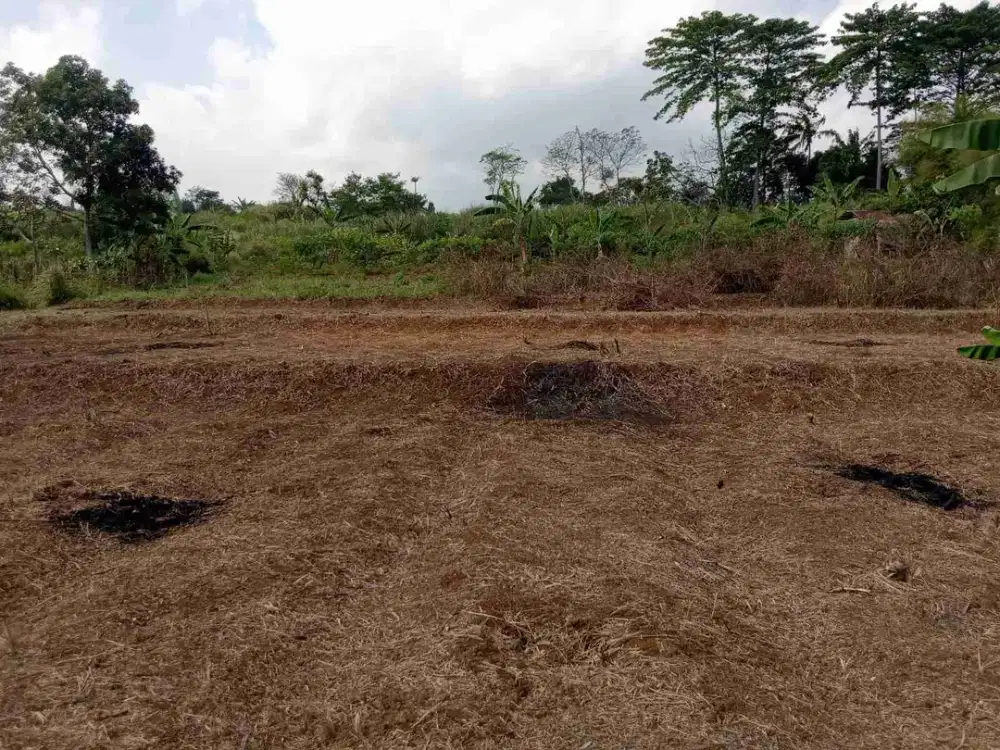 Di jual tanah darat sangat cocok untuk villa dan Resort .udara sejuk view gunung salak