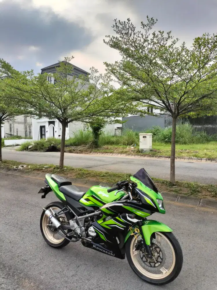 Rare New Ninja RR New Superkips SE PMK 2015