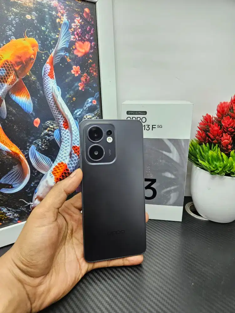 Oppo Reno 13F 5G 8/256gb Fullset