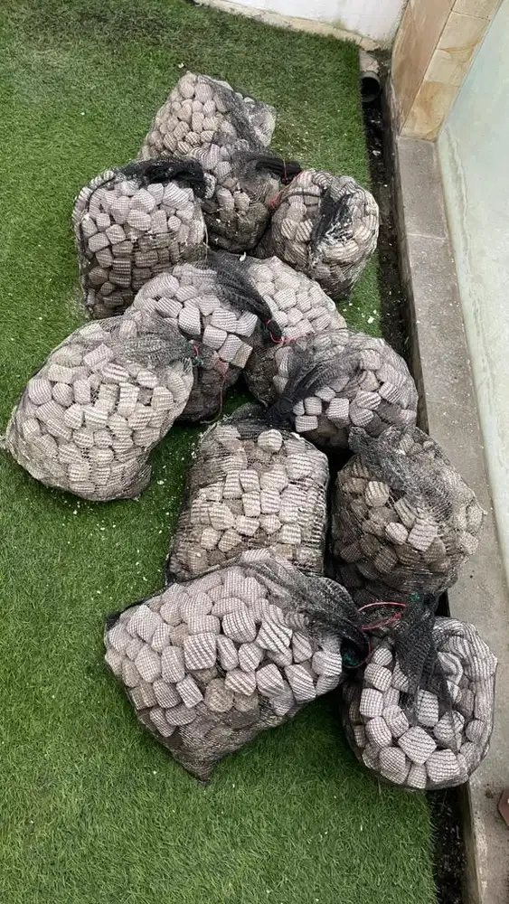 Media Filter Kolam Ikan