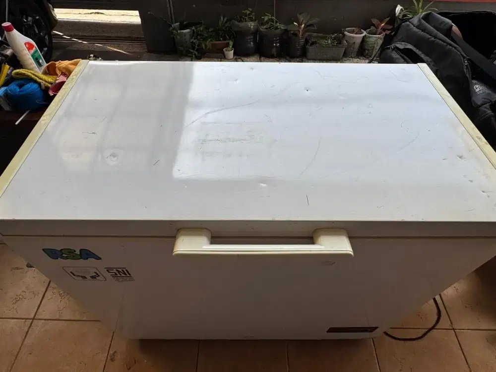 Freezer RSA 220 L
