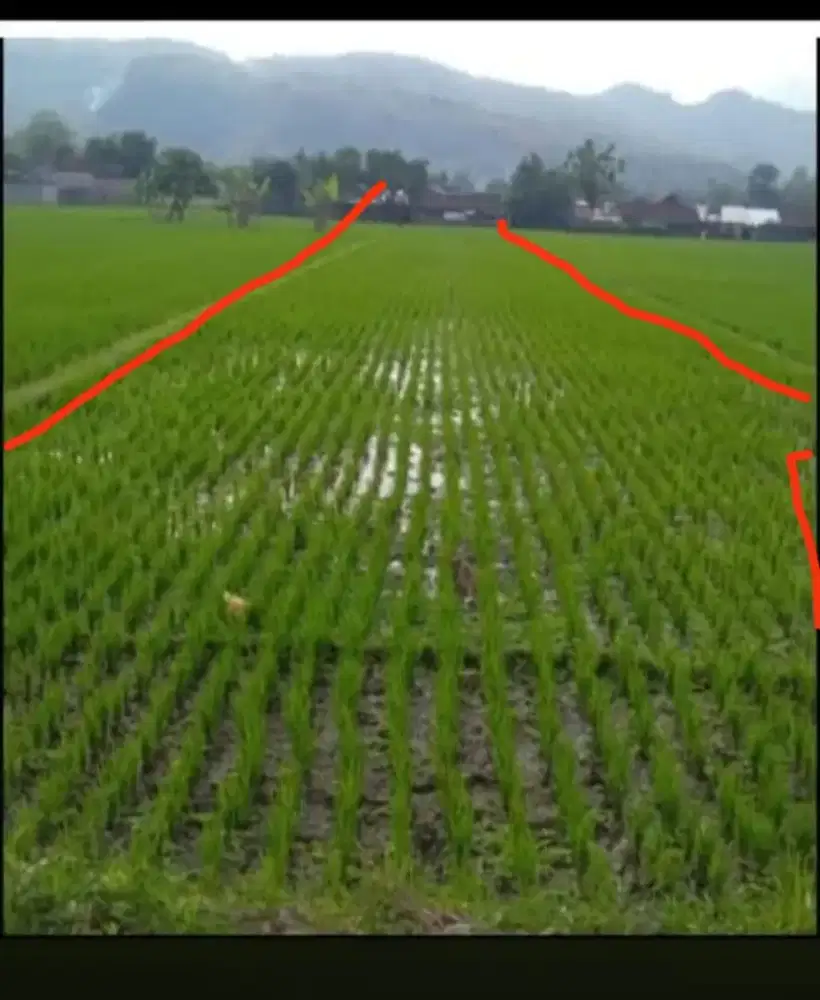 Dijual tanah murah strategis di daerah sleman