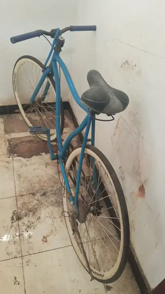 Sepeda fixie Kokoh kuat torpedo