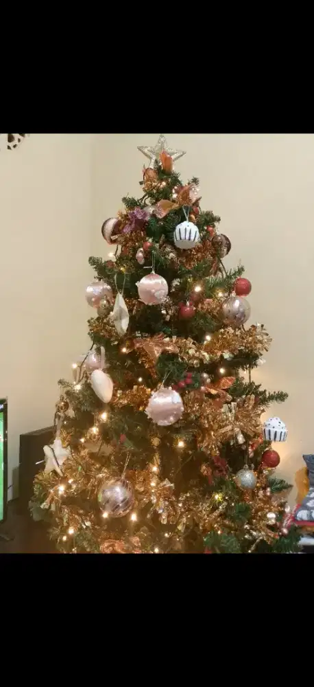 Dijual murah pohon natal