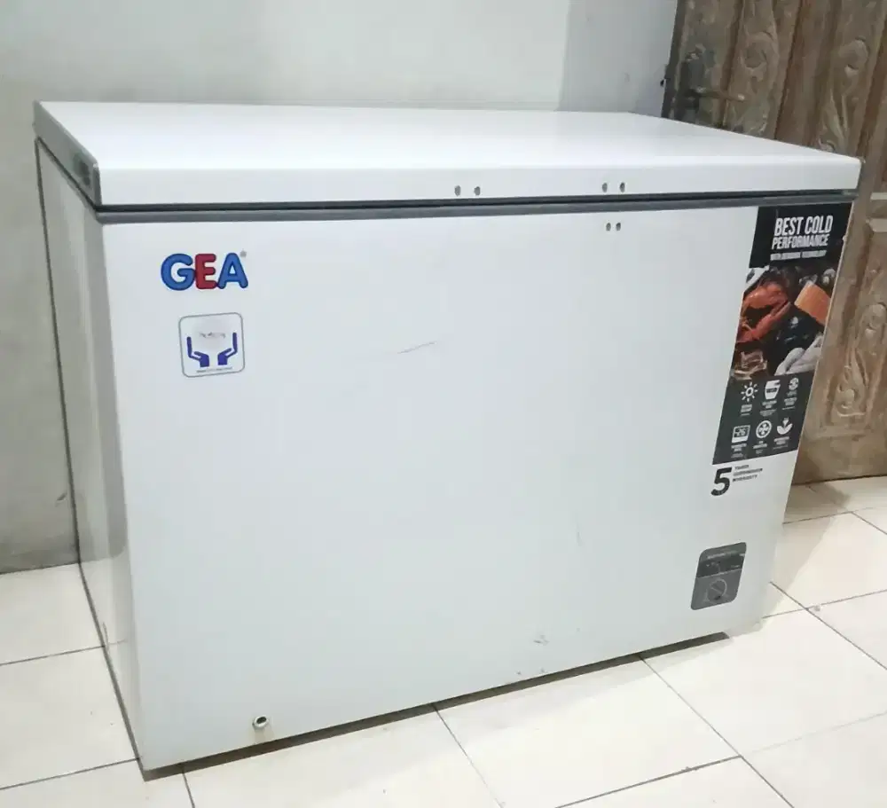 Frezzer box gea 300L