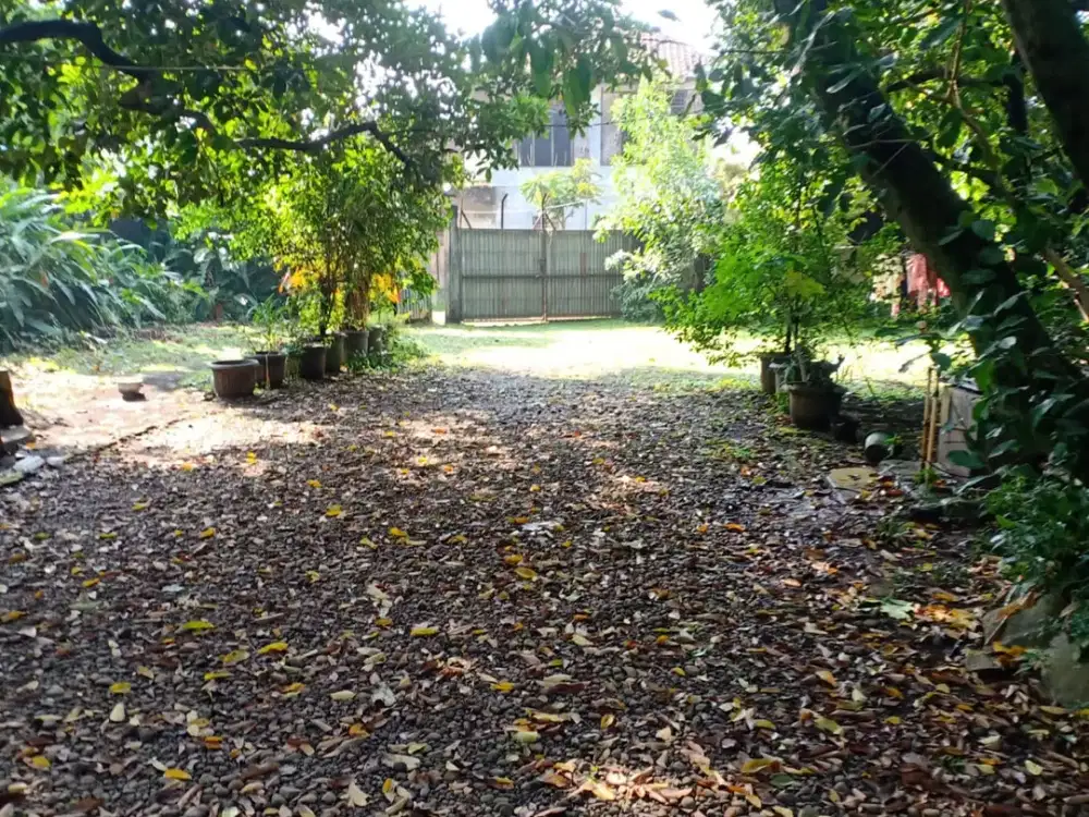 Jual Tanah Kebun Buah Cimanggis Depok 7998 M Sukamaju