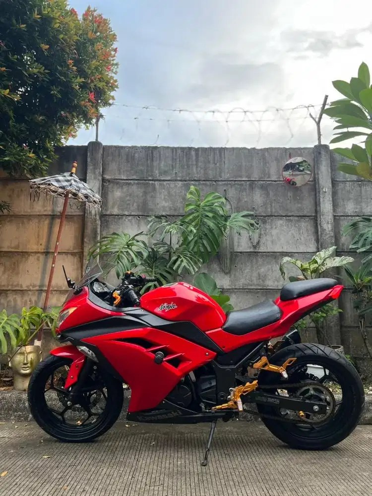 Kawasaki Ninja 250 FI