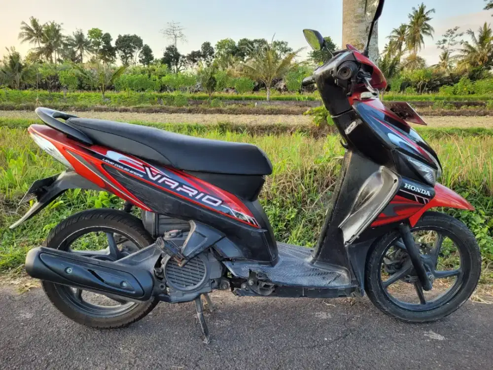 VARIO CW 110 2010