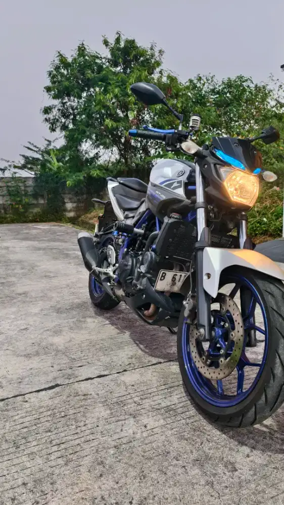 Yamaha MT25 2015 Silver