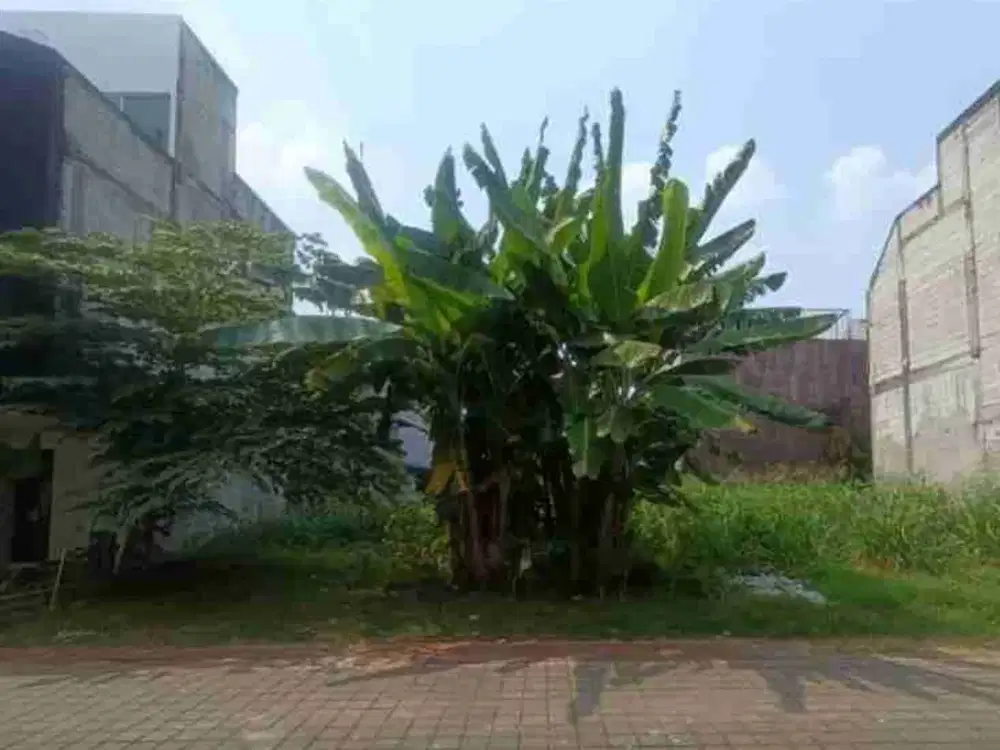 JUAL TANAH CIPUTAT TIMUR