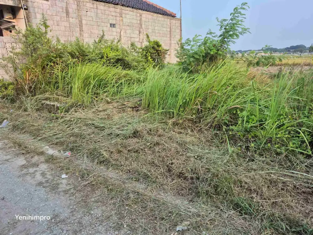 Di jual tanah dekat kawasan industri Kiic karawang telukjambe timur
