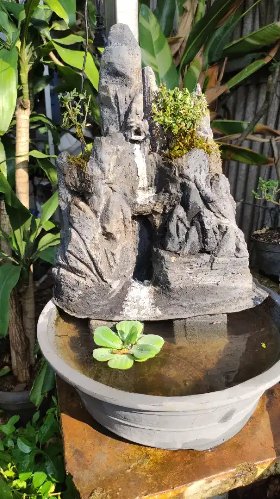 Miniatur tebing dan bonsai