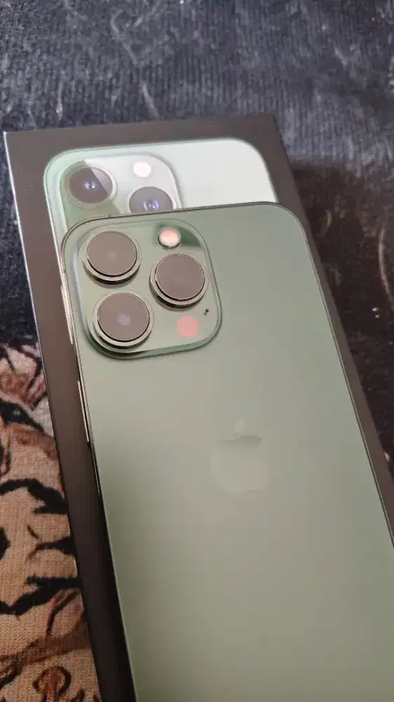 Apple I Phone 13 Pro Bekas Alpine Green