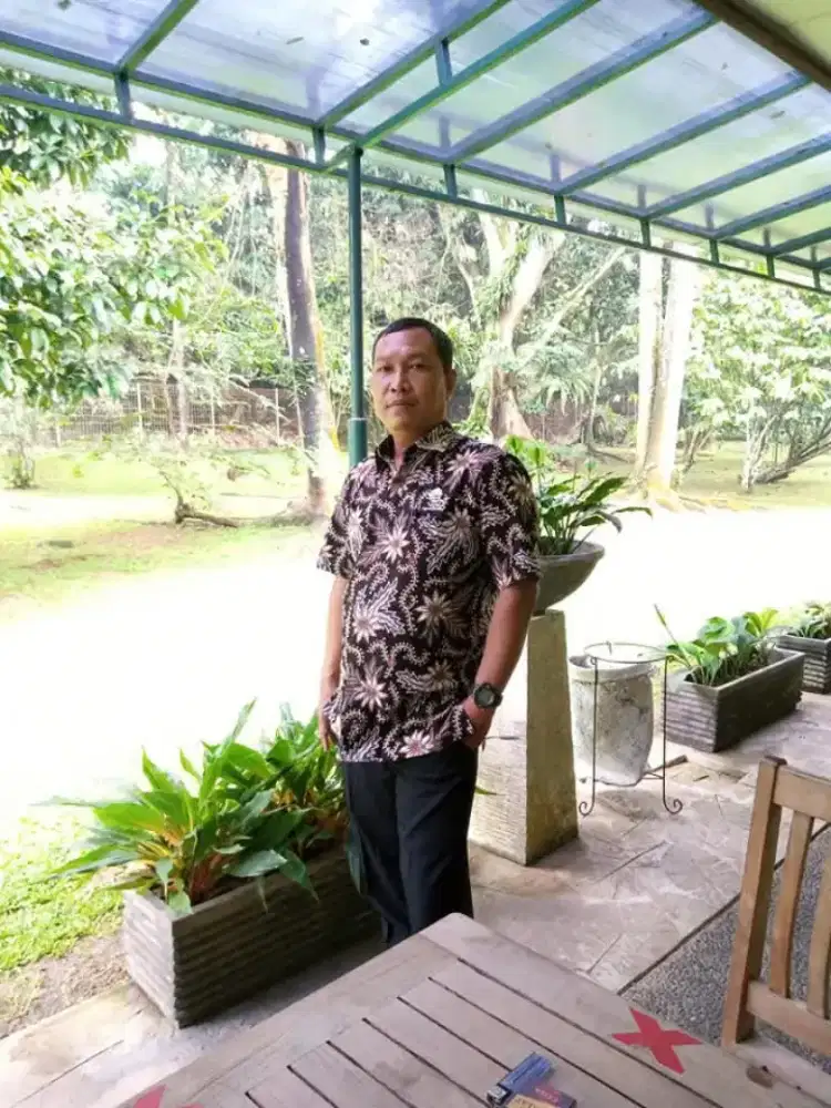 Saya sedang mencari pekerjaan sebagai Driver Pribadi atau mobil Box