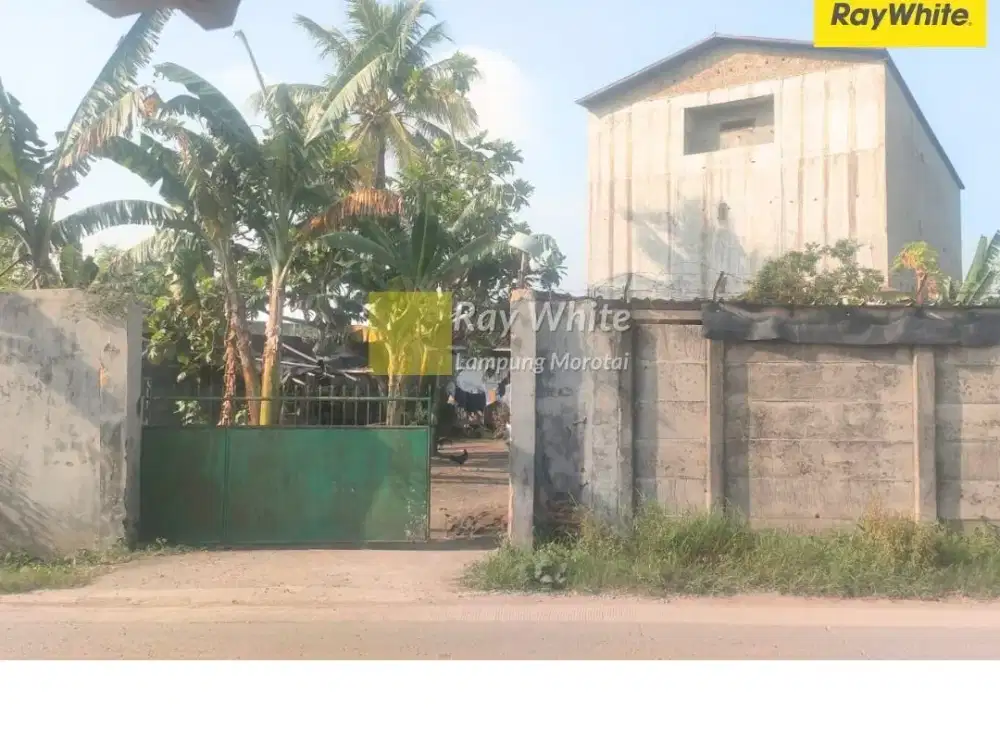 Dijual Tanah Bonus Bangunan di Pringsewu, Lampung (Kode : YOK 3697)