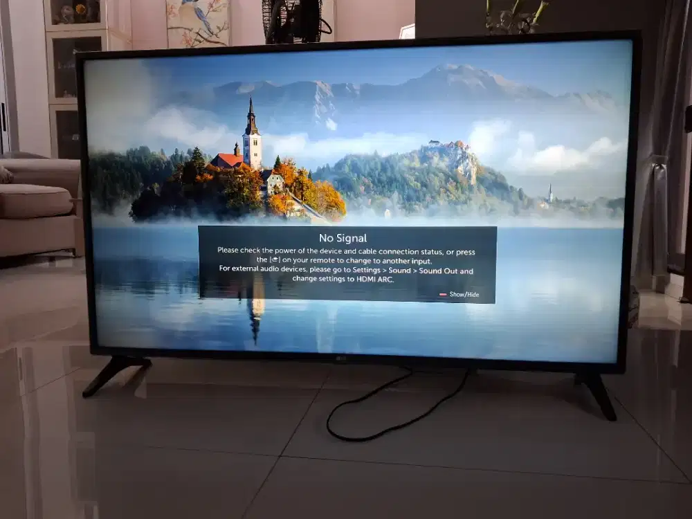 TV LG 49 bisa netlix n tvdigital