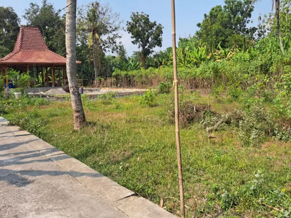 Tanah Pekarangan Murah di Kasihan Bantul#Kode : TP 043