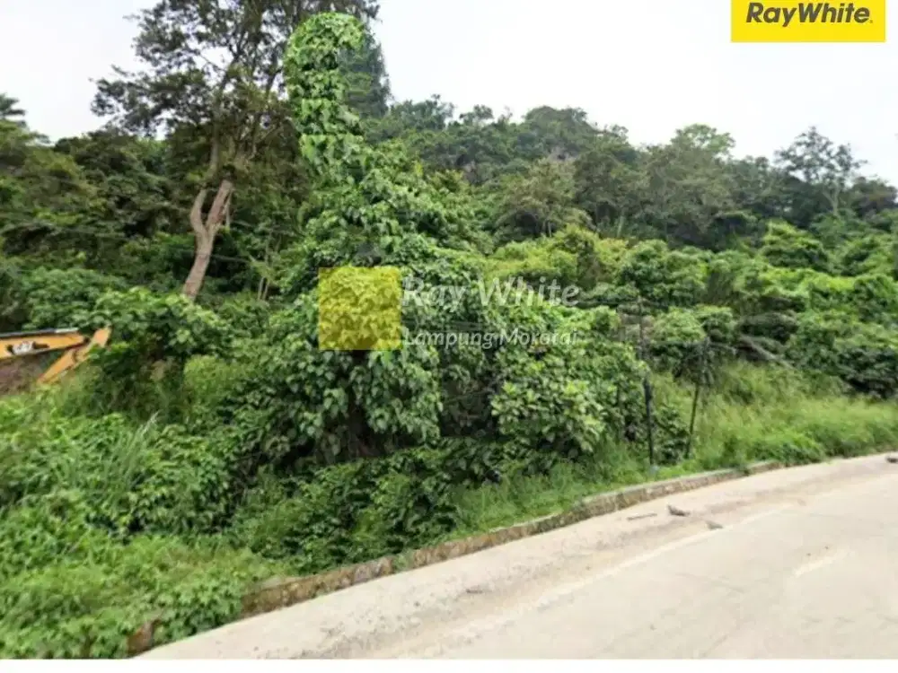 Dijual Tanah di Way Gubak, Bandar Lampung (Kode : YOK 3698)