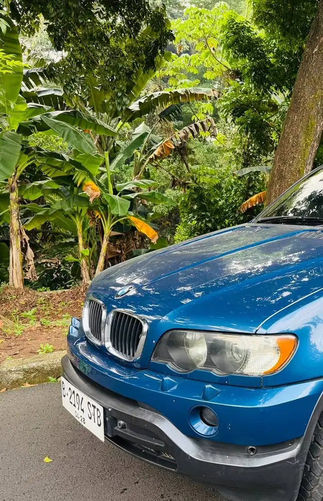 BMW X5 E53 V8 4.4i 2002 Blue Biru Jual BU 2001 Rare 2003 Rare Collor