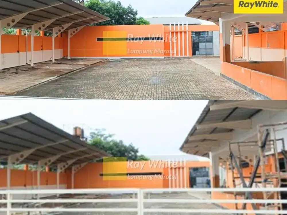 Dijual Tanah Bonus Bangunan di Way Jepara, Lampung Timur (kode YOK 3699)
