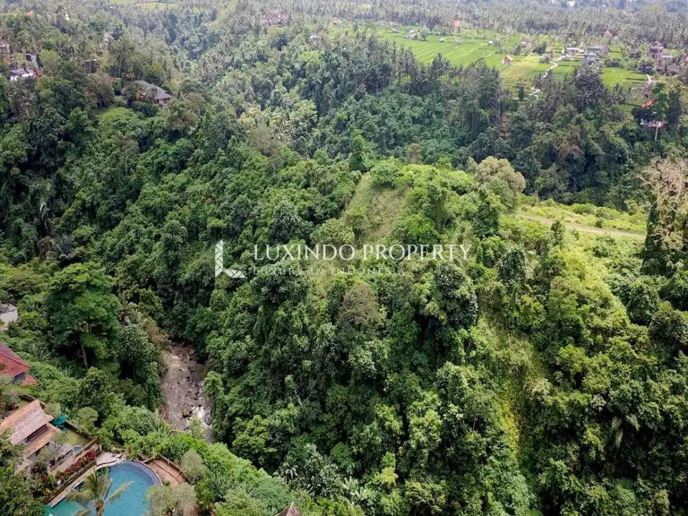 DIJUAL TANAH SELUAS 34,2 ARE DI CAMPUHAN, UBUD - Thumbnail 4