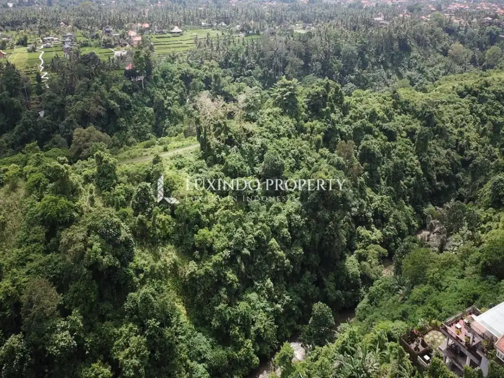 DIJUAL TANAH SELUAS 34,2 ARE DI CAMPUHAN, UBUD - Thumbnail 5