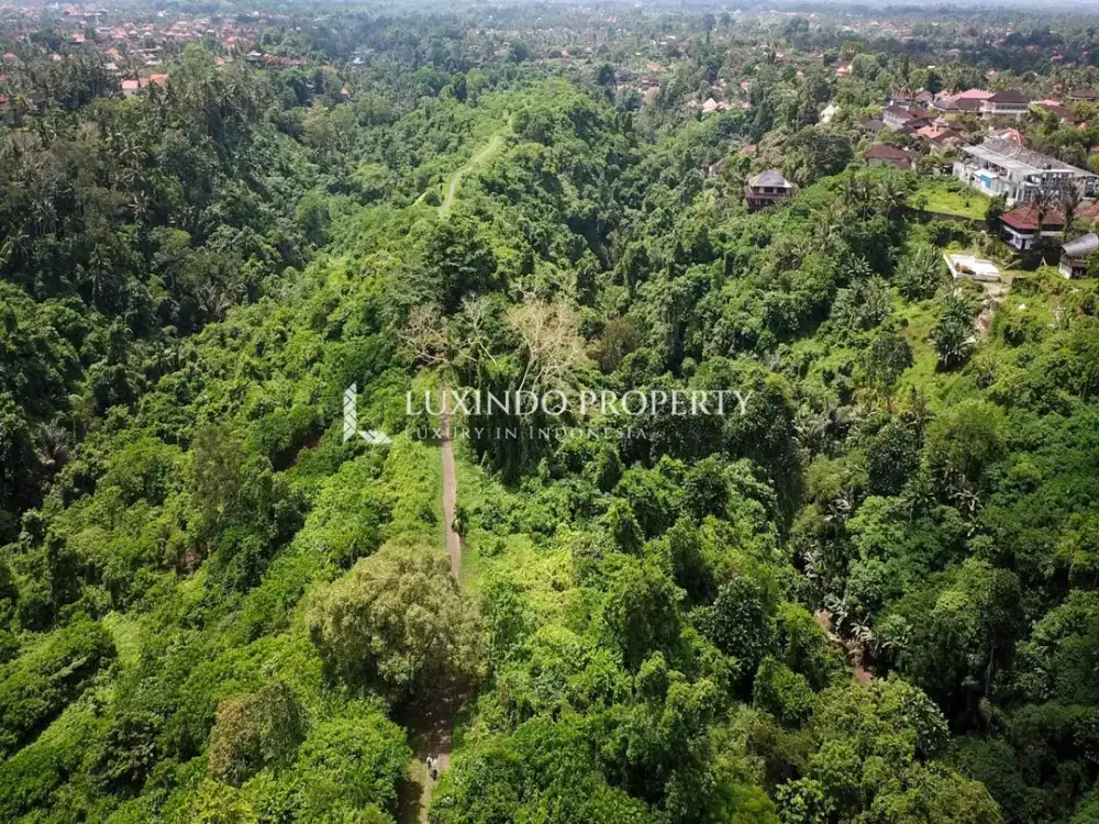 DIJUAL TANAH SELUAS 34,2 ARE DI CAMPUHAN, UBUD - Thumbnail 7