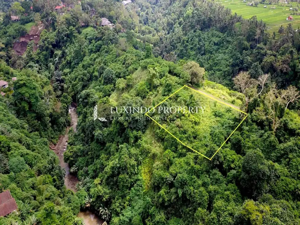 DIJUAL TANAH SELUAS 34,2 ARE DI CAMPUHAN, UBUD - Thumbnail 8