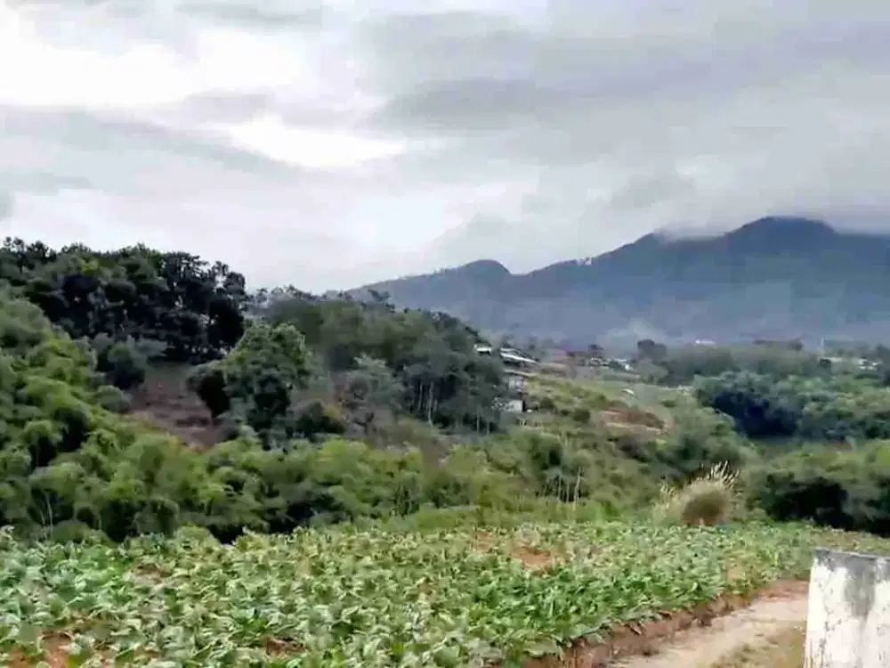 LAHAN KAVLING CIBIRU WETAN, KEC CILEUNYI, KAB BANDUNG, JAWA BARAT