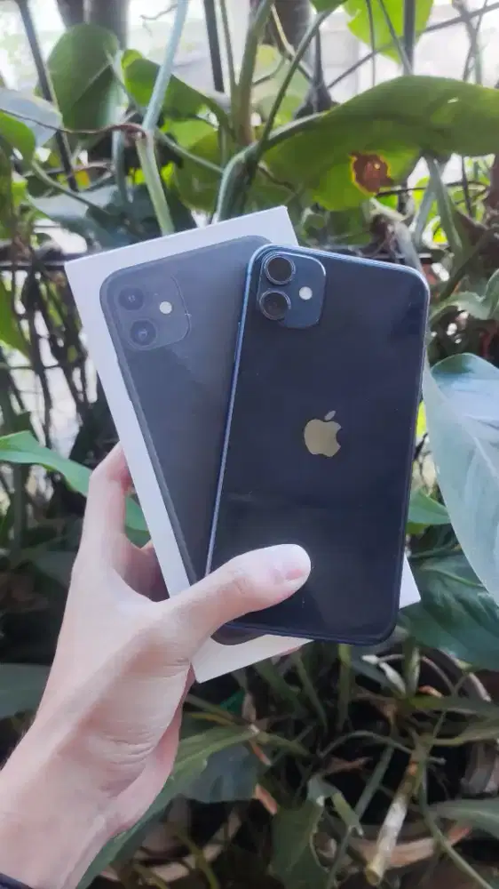 iPhone 11 64GB All Prov